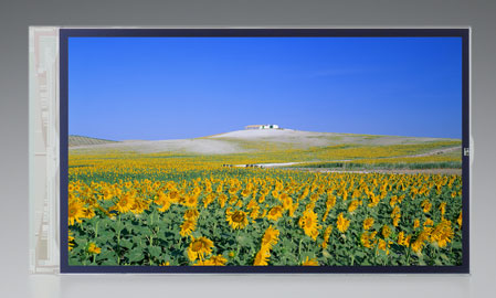 4.1-Inch System-on-Glass LCD Module