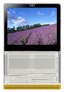 TFT LCD Module with DRAM Frame-Memory System Embedded Onto Glass Substrate