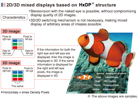 Image of 3D/2D display with HxDP 
