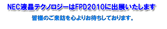 FPD International 2010