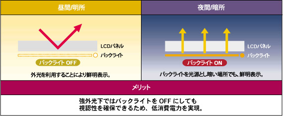 明所と暗所の動作変化